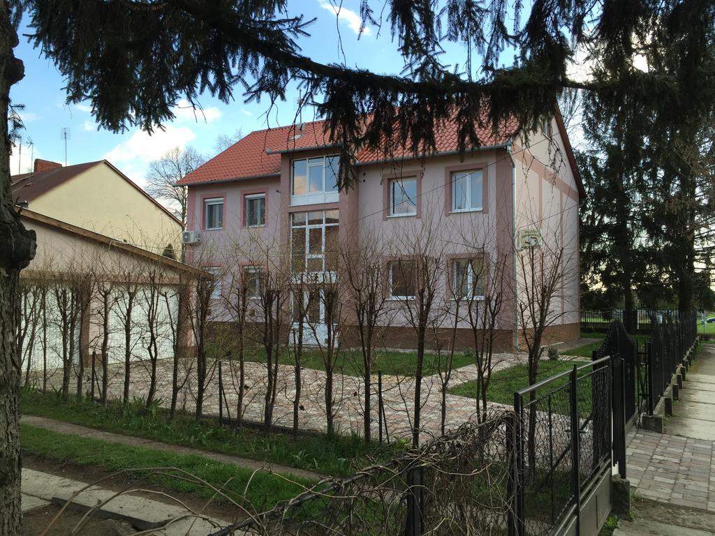 Platan * Гайдусобосло